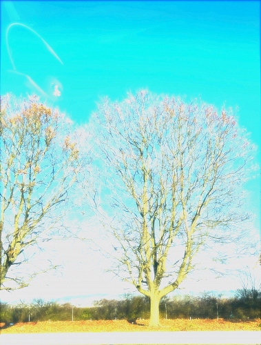  - &copy; Doris Stricher