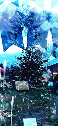  - &copy; Doris Stricher