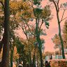 Fondation Maeght