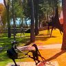 Fondation Maeght 