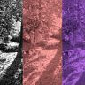 Triptyque 